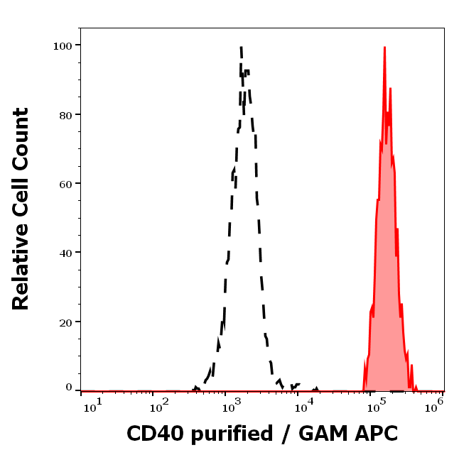 CD40 Antibody
