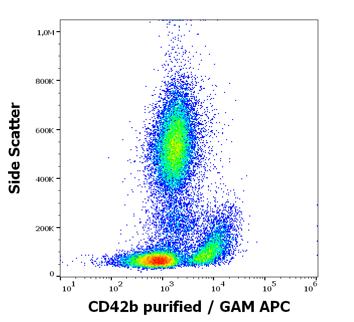 CD41b Antibody