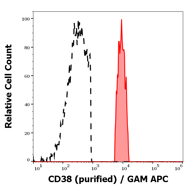 CD38 Antibody