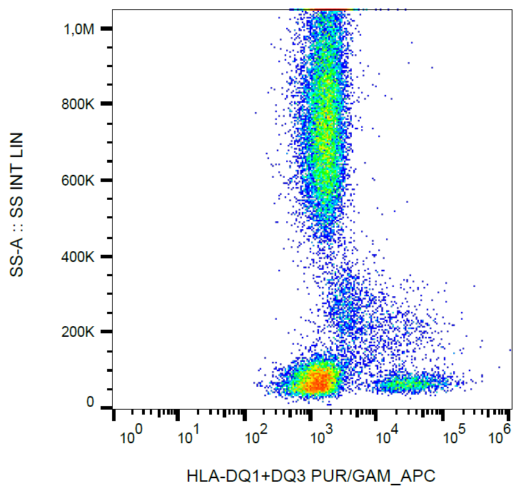 HLA-DQ1/DQ3 Antibody