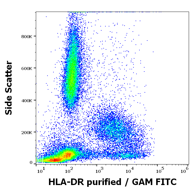 HLA-DR Antibody
