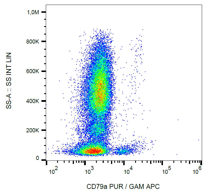 CD79a Antibody