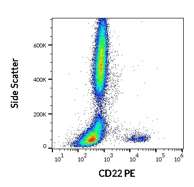 CD22 Antibody (PE)