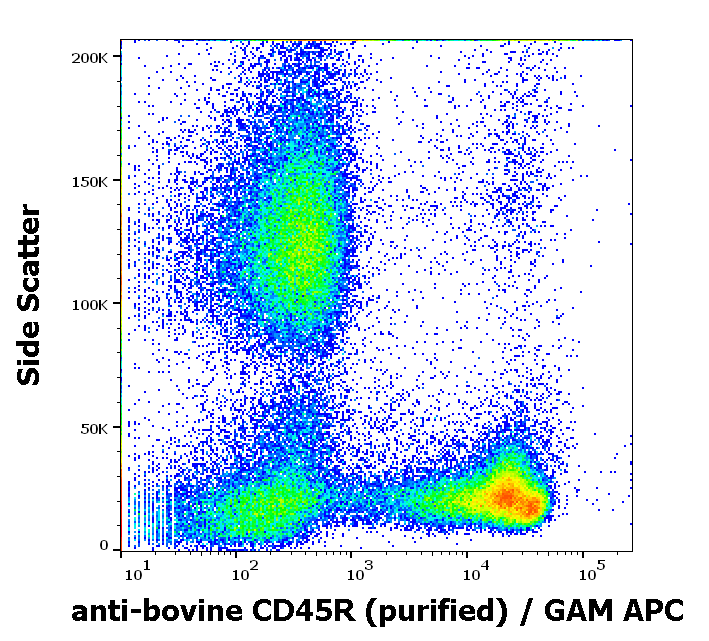 Anti-Bov CD45R Purified