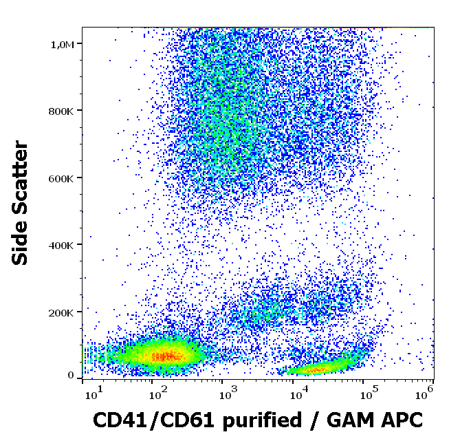 CD41 antibody