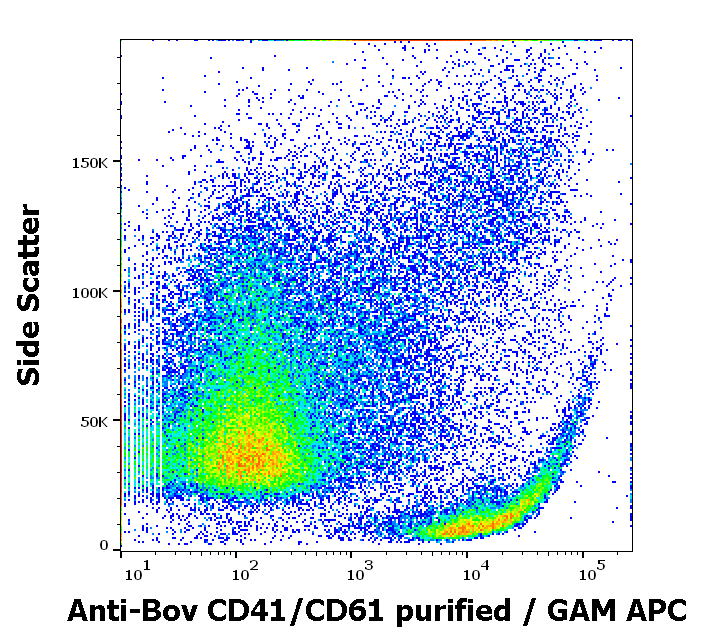 CD41 antibody
