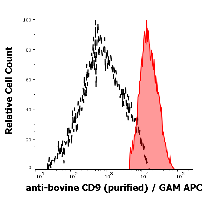 CD9 Antibody