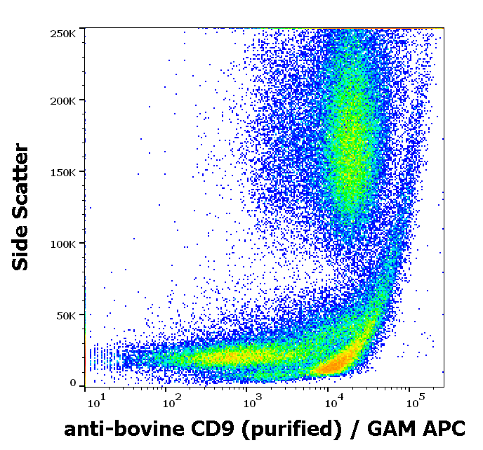 CD9 Antibody