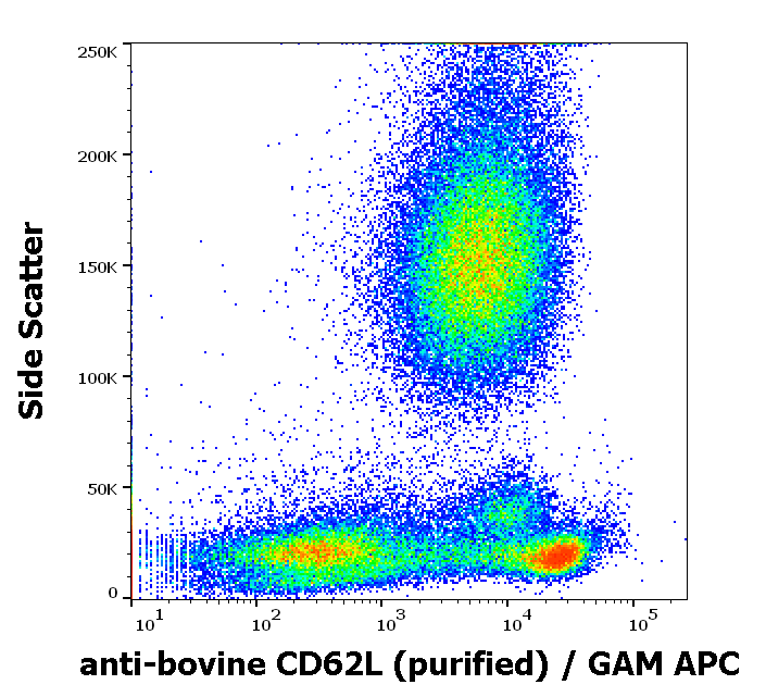 CD62L antibody