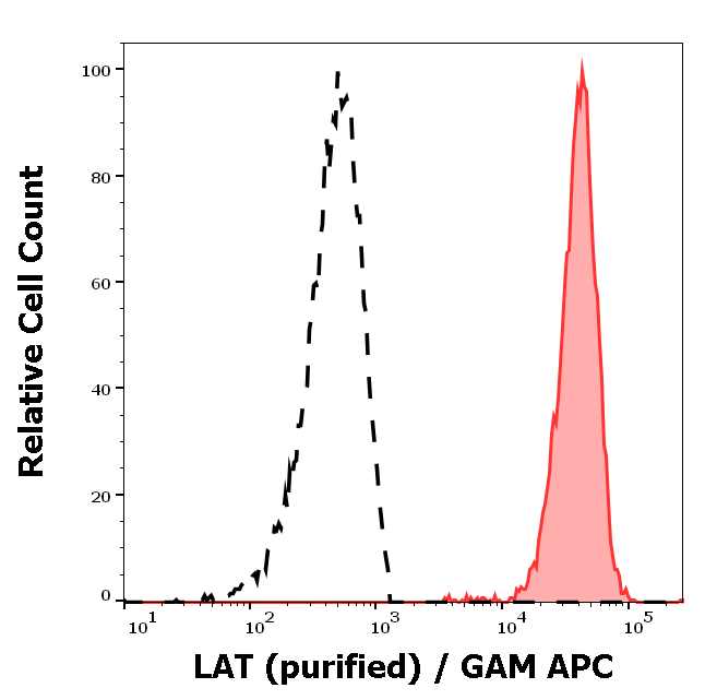 Anti-LAT Purified