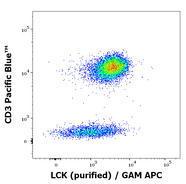 Lck antibody