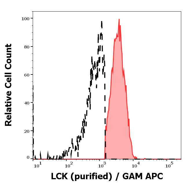 Lck antibody