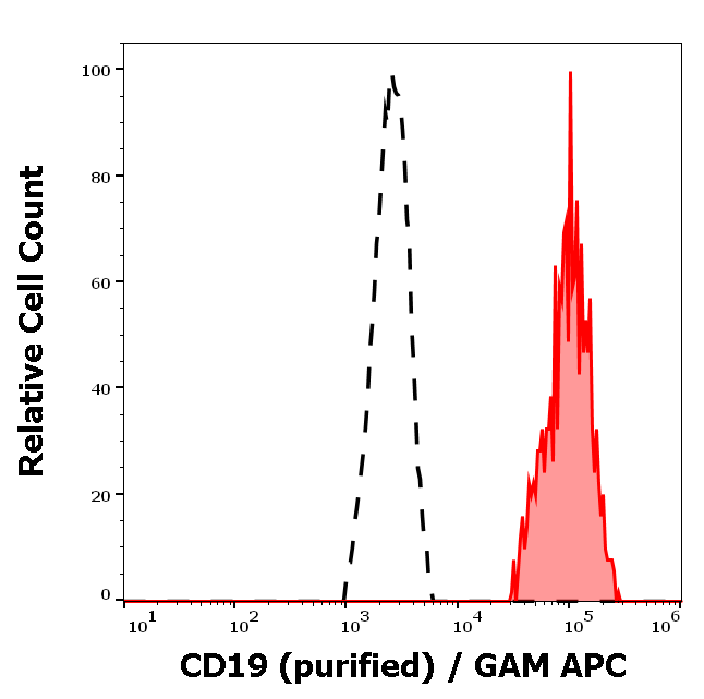 CD19 Antibody