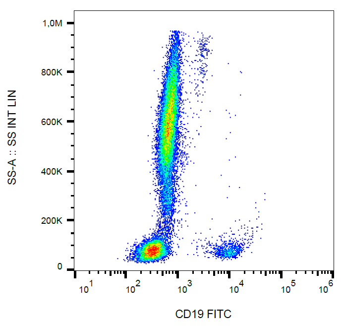 CD19 Antibody (FITC)