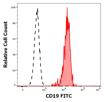 CD19 Antibody (FITC)