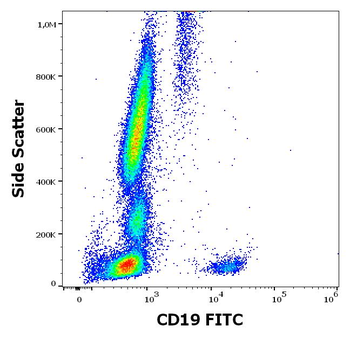 CD19 Antibody (FITC)
