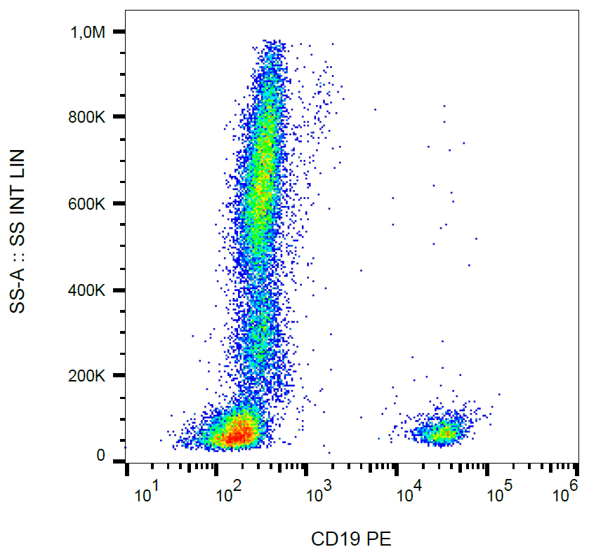 CD19 Antibody (PE)