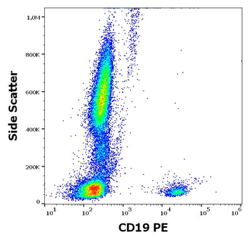 CD19 Antibody (PE)