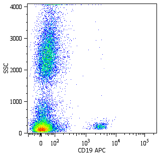 CD19 Antibody (APC)