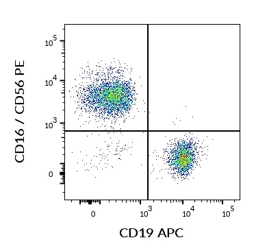 CD19 Antibody (APC)