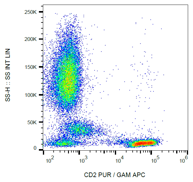 CD2 Antibody