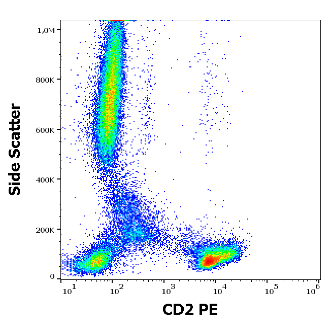 CD2 antibody (PE)