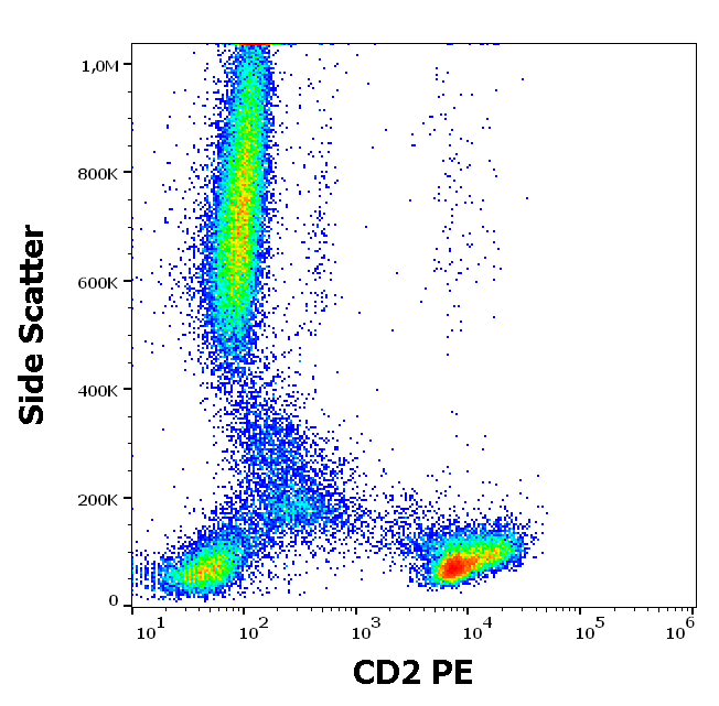 Anti-Hu CD2 PE