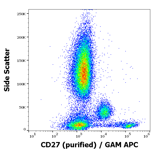 CD27 Antibody