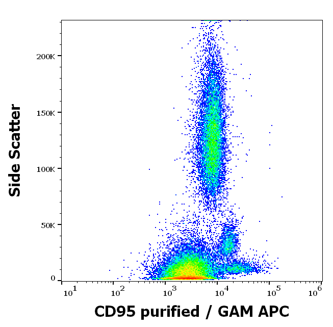 Anti-Hu CD95 Purified
