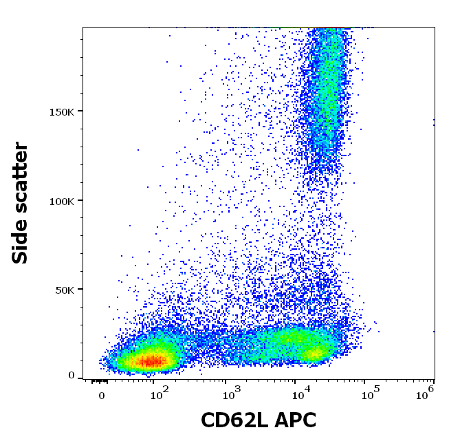 CD62L Antibody (APC)