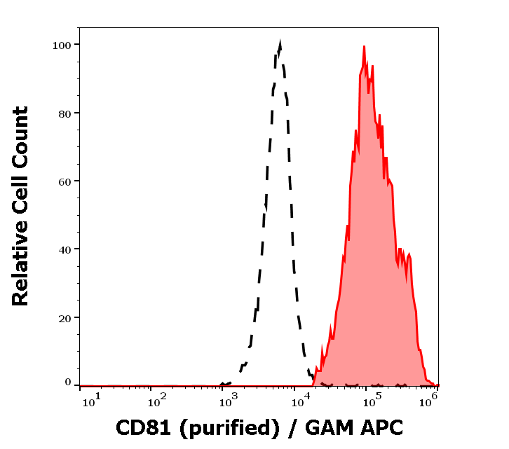 CD81 Antibody