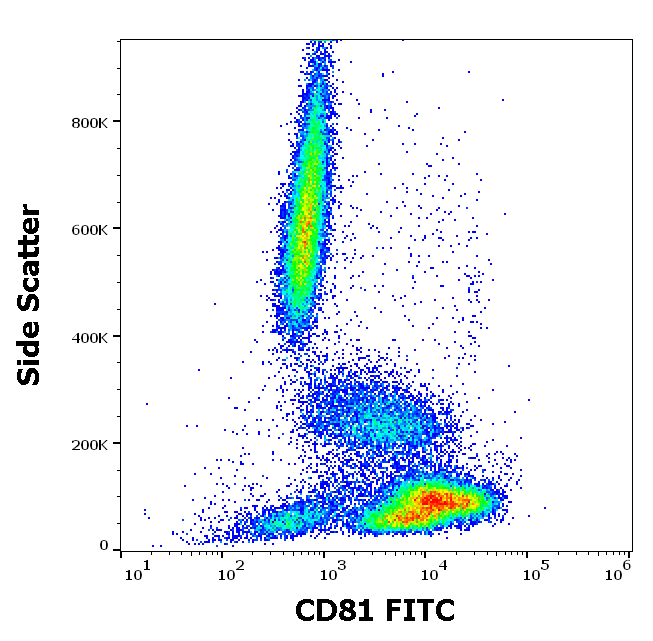 CD81 Antibody (FITC)