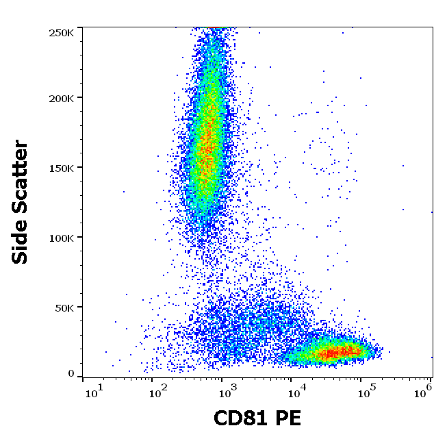 CD81 Antibody (PE)