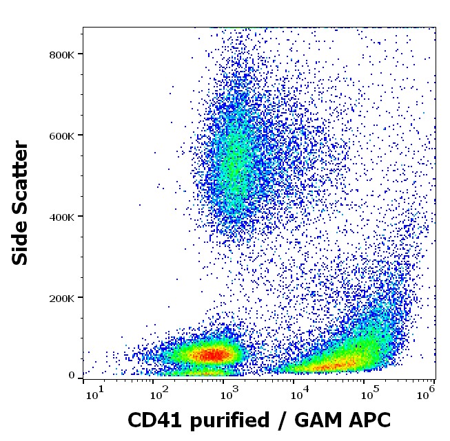CD41 Antibody