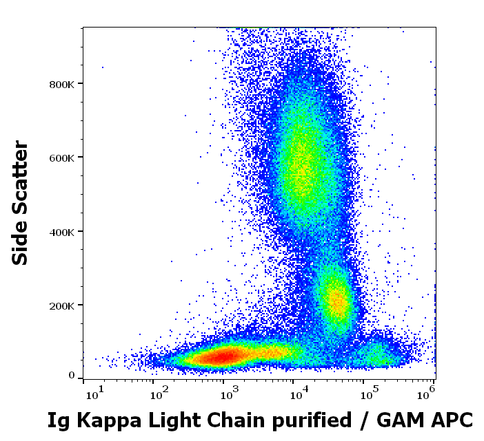 Kappa (L chain) antibody