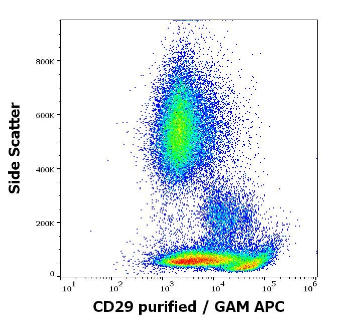 Integrin beta 1 antibody