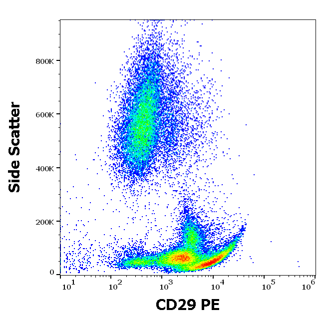 Integrin beta 1 antibody (PE)