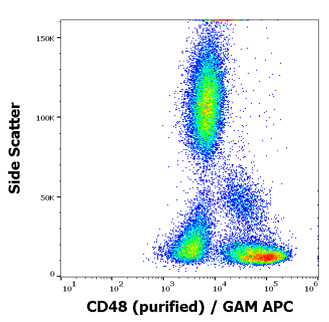 CD48 Antibody