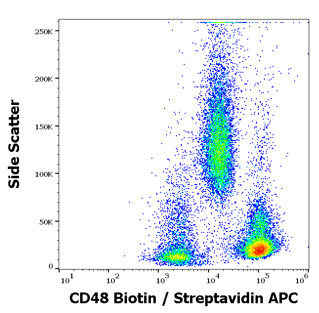 CD48 Antibody (Biotin)