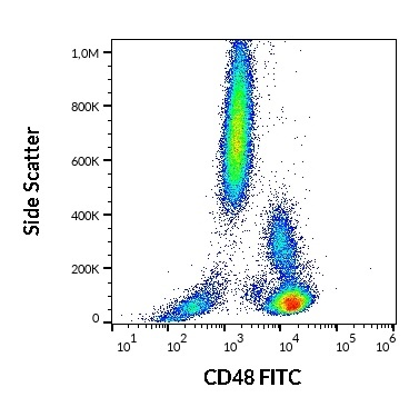 CD48 Antibody (FITC)
