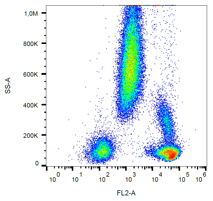 CD48 Antibody (PE)