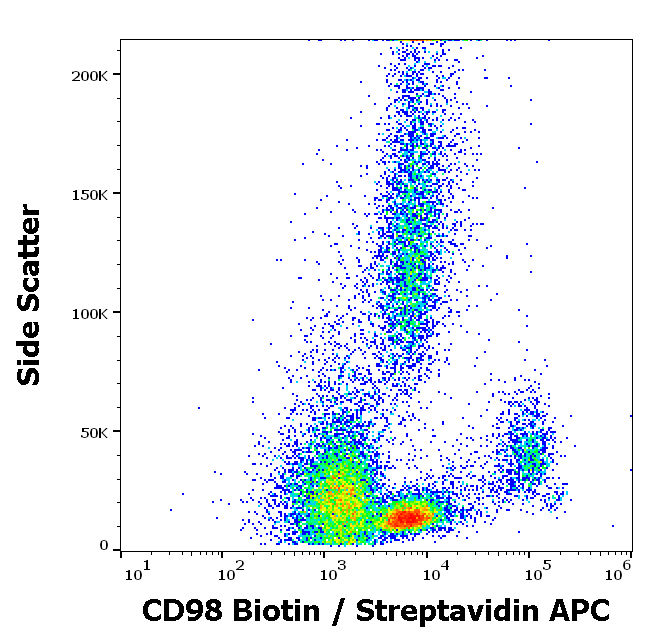 Anti-Hu CD98 Biotin