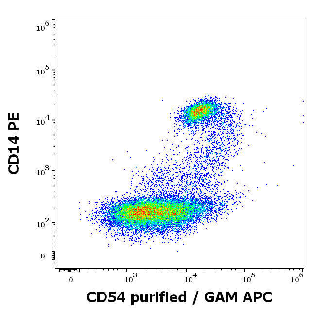 Anti-Hu CD54 Purified