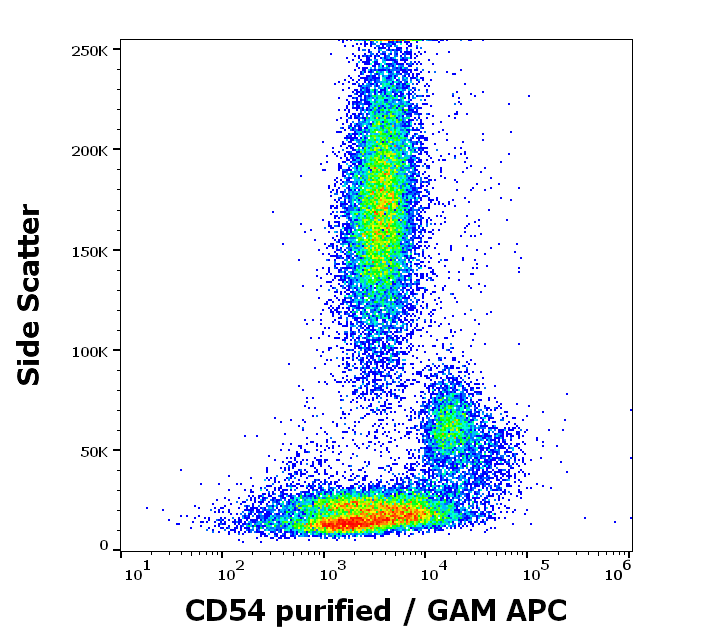 Anti-Hu CD54 Purified