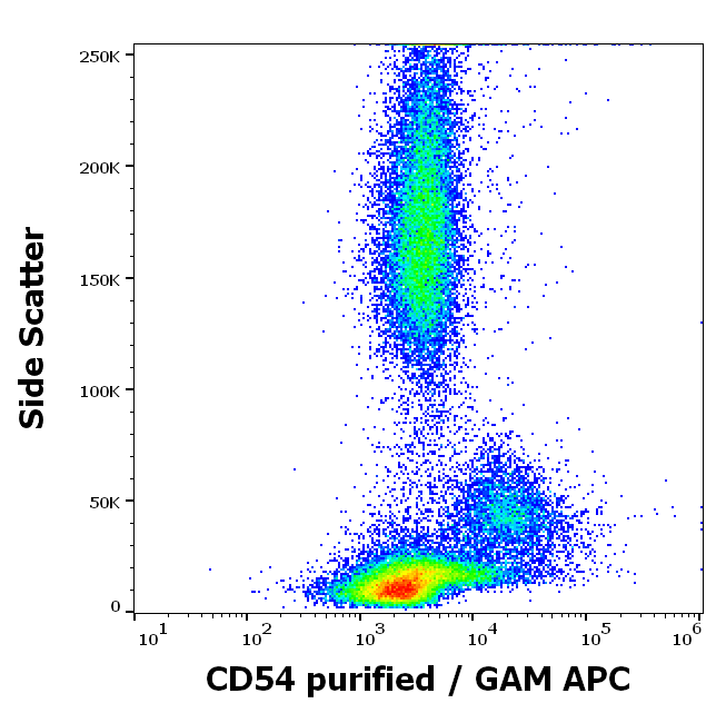 Anti-Hu CD54 Purified