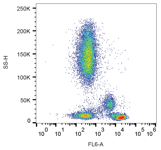 CD4 Antibody