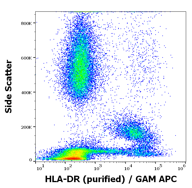 HLA-DR Antibody