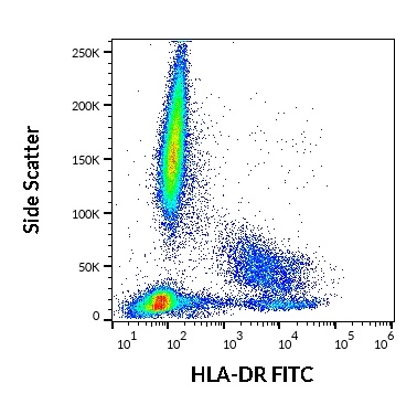 HLA-DR antibody (FITC)