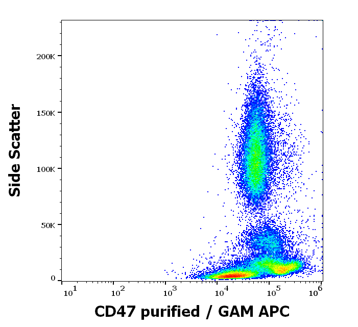 Anti-Hu CD47 Purified