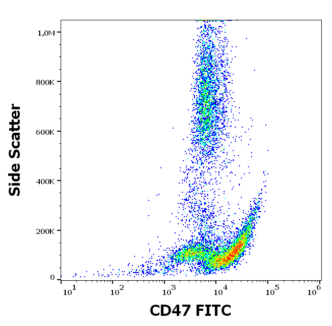 CD47 antibody (FITC)